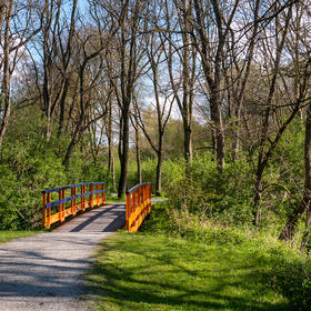 Dieren spotten in Natuurpark Lelystad