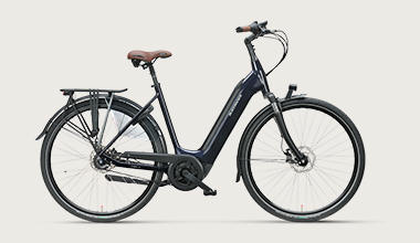 Batavus Finez