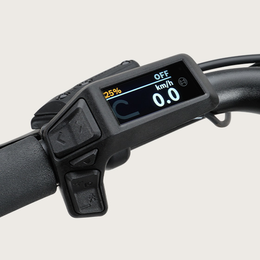Compact Purion 200 display