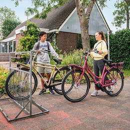 Batavus PACKD