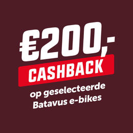 ONTVANG €200,- CASHBACK BIJ AANKOOP VAN EEN BATAVUS FINEZ
