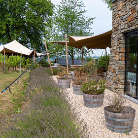 Bourgondisch Limburg