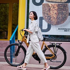 De voordelen van een elektrische fiets van Batavus