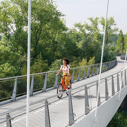 <a id="series"></a>Batavus Dinsdag