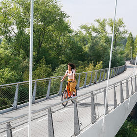 <a id="series"></a>Batavus Dinsdag
