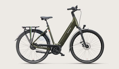 Batavus Finez
