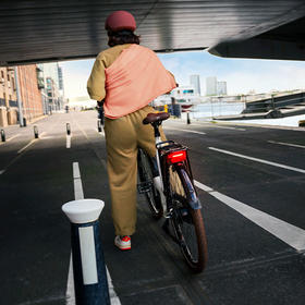 <a name="mand"></a>Batavus Remlicht