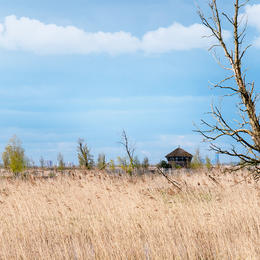 Oostvaardersplassen
