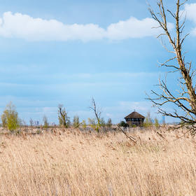 Oostvaardersplassen