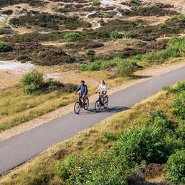 In samenwerking met T.U. Delft