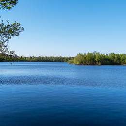 Oisterwijkse Bossen en Vennen