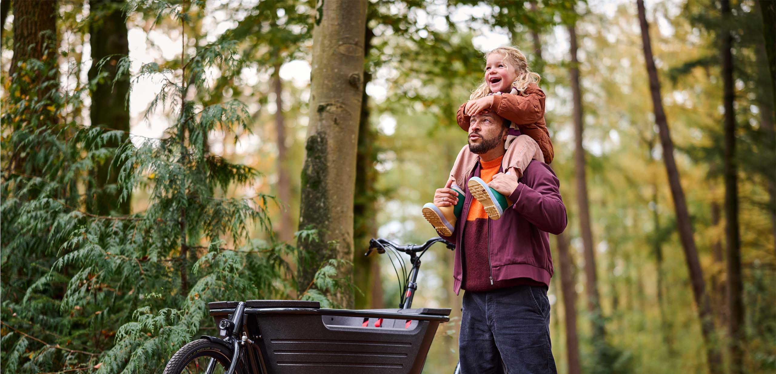 Bakfiets Batavus Fier