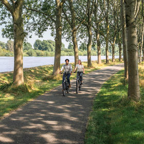 Batavus Finez
