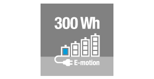 accu300