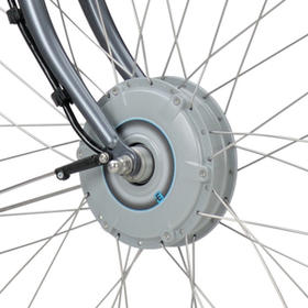 Elektrische fiets met E-motion technologie