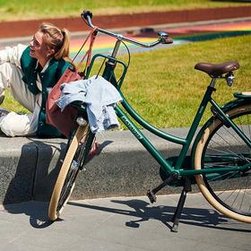 De stevige en stabiele elektrische transportfiets