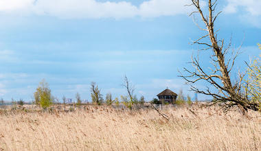 Flevoland