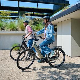 Batavus Finez