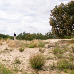 Meijendel, duinen en strand